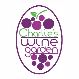 Charlie's Wine Garden Pop-Up Bar Photo