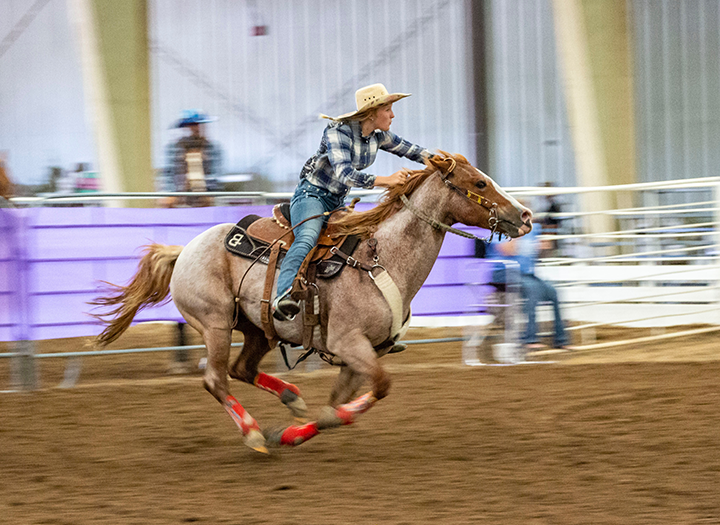 Event Promo Photo For Quarter Horse Association Celebrating Kansas Horse Show