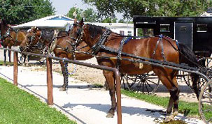 Yoder Amish Community's Image