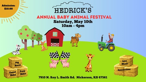 Hedrick's Annual Baby Animal Festival Photo