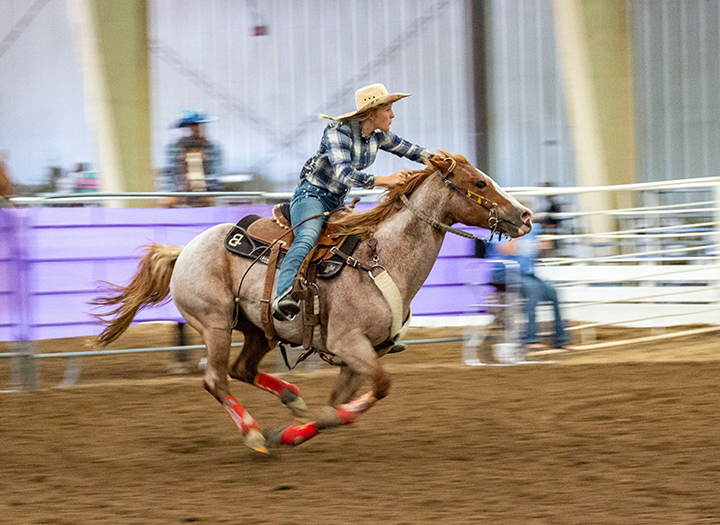 Working Equitation Horse Show Photo