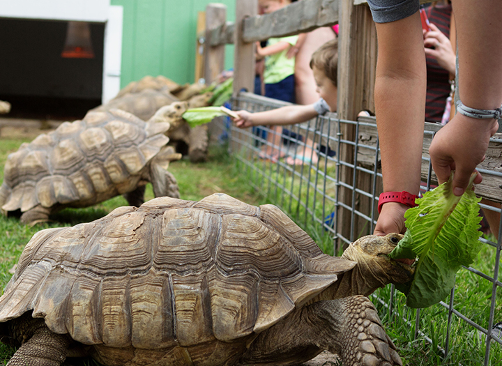 Event Promo Photo For 'Keeper for a Day' at the Zoo