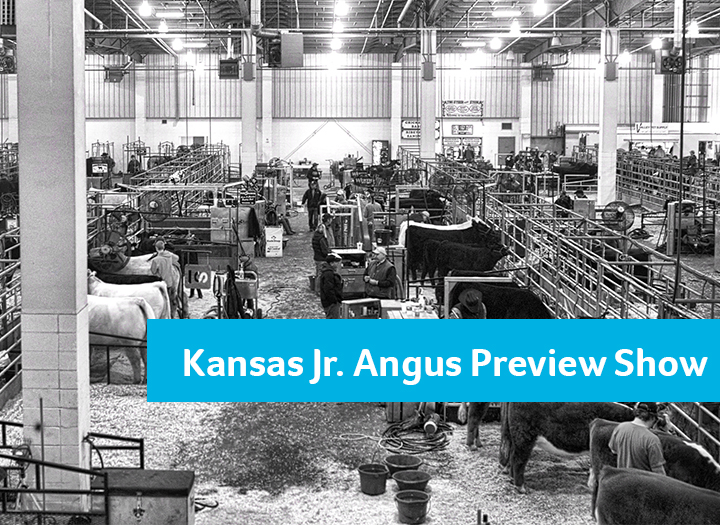 Event Promo Photo For Kansas Junior Angus Summer Show