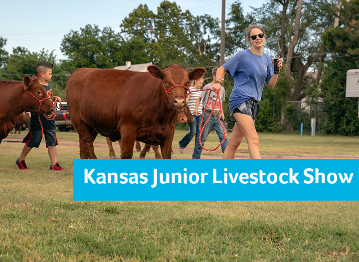 Event Promo Photo For 2019 Kansas Junior Livestock Show