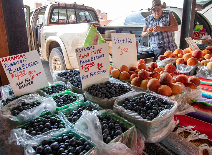 Reno County Farmer's Market Photo