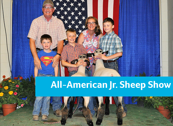 Event Promo Photo For All-American Junior Sheep Show