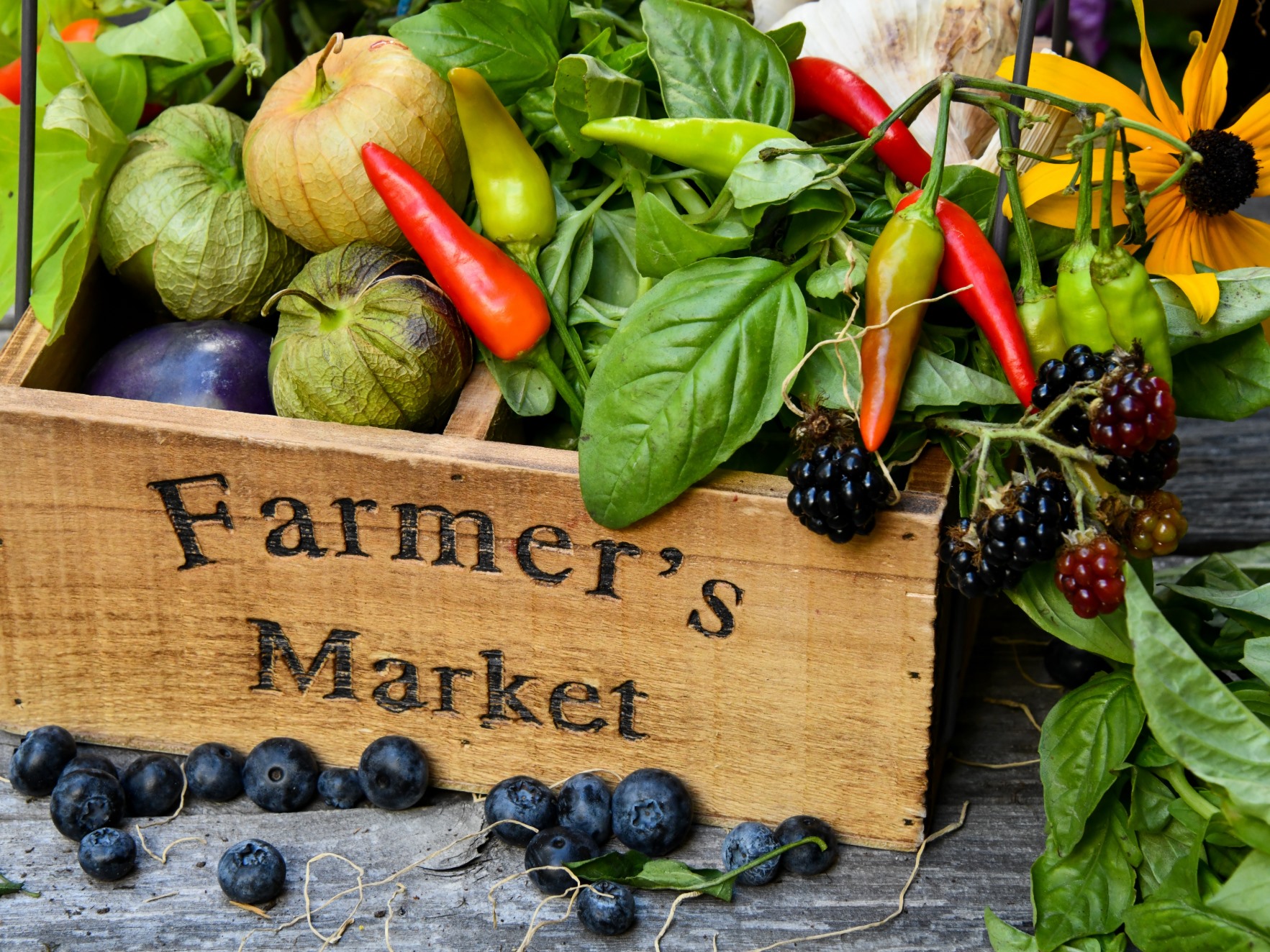 Event Promo Photo For Haven Farmers Market