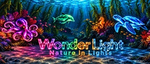 Wonder