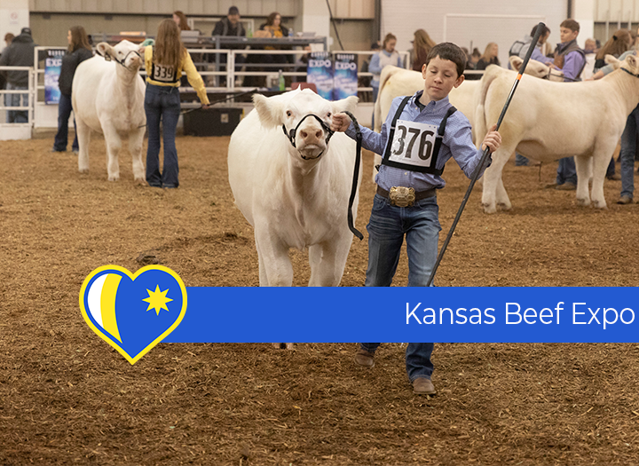 Kansas Beef Expo Photo - Click Here to See
