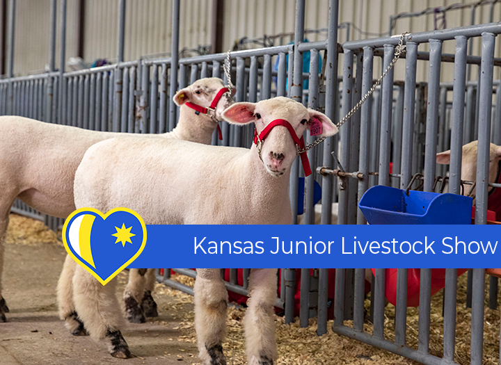 Kansas Jr. Livestock Show Photo - Click Here to See