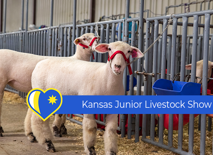 2025 Kansas Junior Livestock Show Photo - Click Here to See