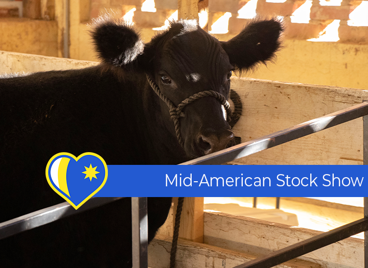 Mid-American Stock Show Photo - Click Here to See