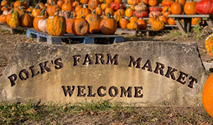 Polk's Farm Market's Image
