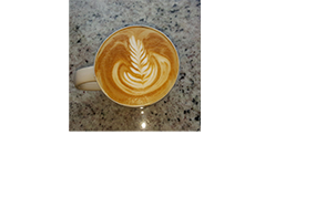 Metro-to-Go Coffee Trailer (Food Truck)'s Logo