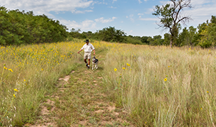 Sand Hills State Park's Image