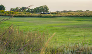 Crazy Horse Sports Club and Golf Course's Logo