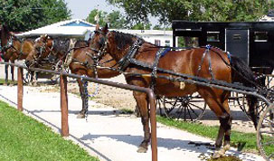 Yoder Amish Community's Logo