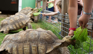 Click to view Hutchinson Zoo's photo